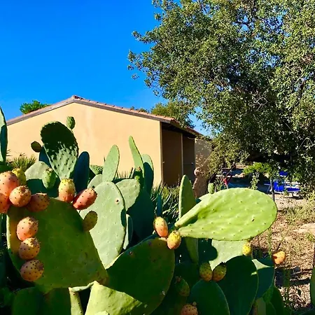 Farm stay Rocce Bianche -