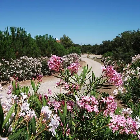 Farm stay Rocce Bianche -