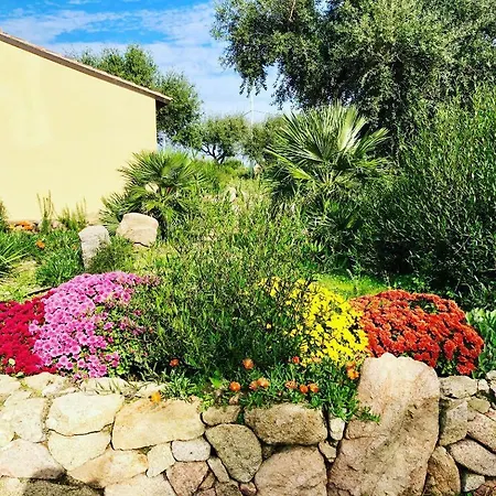 Rocce Bianche - Farm stay Arbus